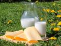 Productos lácteos, leche, queso
