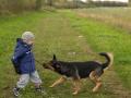 Un niño juega con un perro
