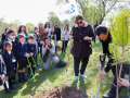 La alcaldesa de Pozuelo de Alarcón, Susana Pérez Quislant, plantando un árbol