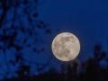 Este próximo 16 de abril se podrá ver la luna rosa