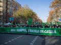 Manifestación en defensa de la escuela en catalán