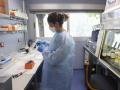 El laboratorio de arbovirus y enfermedades víricas importantes del Centro Nacional de Microbiología