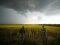 Soldados rusos vigilan un área junto a un campo de trigo en el sureste de Ucrania
