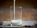 La leche es fuente fundamental de proteínas