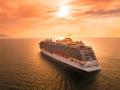Starlink ofrecerá wifi a los cruceros de Royal Caribbean