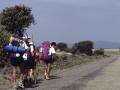 Peregrinos caminando para llegar a Santiago de Compostela
