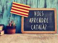 Inmersión lingüística en catalán