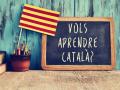 Inmersión lingüística en catalán