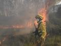 Un bombero ayuda en las tareas de extinción del incendio de Zamora