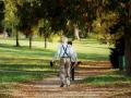 La edad de jubilación subirá paulatinamente hasta 2027