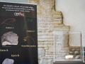 Arqueólogos de la Universidad Autónoma de Barcelona (UAB), dieron a conocer hoy en el Museo de Lérida el hallazgo de una placa con grabados de hace 14.000 años