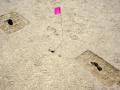 Las huellas descubiertas en el desierto de Utah marcadas con una bandera