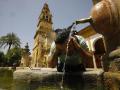Un turista se refresca en una de las fuentes del patio de los naranjos de la Mezquita de Córdoba, en julio