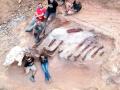 Los paleontólogos, junto a los restos hallados en Pomba (Portugal)