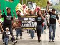 Manifestación de AnimaNaturalis, la organización iberoamericana "más grande" en defensa de los animales