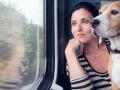 Un perro viajando en tren