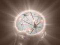 El Alzheimer es la demencia más común
