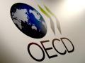 El logotipo de la OCDE.