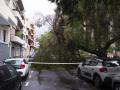 Las lluvias generadas por la cercanía de la tormenta tropical 'Hermine' a Canarias ha ocasionado un centenar de incidencias en Canarias.