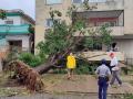 Consecuencias del huracán Ian en La Habana, Cuba