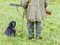 Un cazador y su perro se vieron involucrados en el inusual suceso