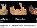 Investigadores españoles prueban la existencia de una especie humana distinta de los neandertales en Europa
SOCIEDAD ESPAÑA EUROPA MADRID SALUD
HM HOSPITALES