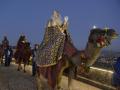 Los Reyes Magos montados en dromedario durante la cabalgata de Reyes de Orense
