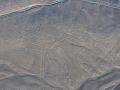 El mono, líneas de Nazca