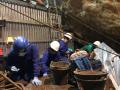 Excavación en la Cueva del Ángel de Lucena