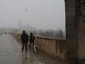 El puente romano de Salamanca, durante la nevada que ha caído hoy en la capital. La nieve ha dificultado el tráfico en la comunidad de Castilla y León especialmente.