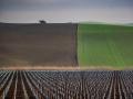 Terrenos de cultivo en Andalucía, en imagen de archivo