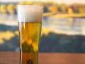 cerveza