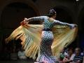 flamenco