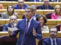 Alberto Núñez Feijóo, este martes en el Senado