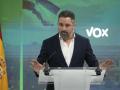 El líder de Vox, Santiago Abascal durante la rueda de prensa ofrecida tras la reunión del Comité de Acción, este lunes en Madrid. EFE/ Fernando Villar