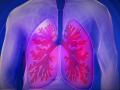 Ilustración de pulmones