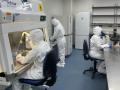Producción de Vector Viral para CART