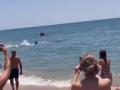 Una orca sorprende a los bañistas en una playa de Huelva