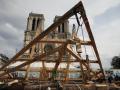 La madera para la reconstrucción de Notre Dame proviene de más de mil robles centenarios