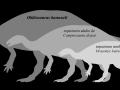 Oblitosaurus comparado con otros dinosaurios