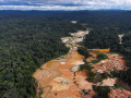 La deforestación de la selva amazónica brasileña en el primer trimestre de 2023 fue una de las peores registradas, alcanzando su nivel más alto en 15 años, según datos oficiales publicados el 7 de abril de 2023