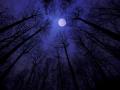 Luna llena agosto 2023: ¿Cuándo y dónde ver la luna del esturión y la luna azul?