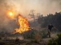 Un hombre tira de la rama de un árbol mientras un incendio arde en el pueblo de Gennadi en la isla griega de Rodas