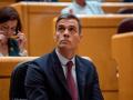 El presidente del Gobierno en funciones, Pedro Sánchez, durante una sesión plenaria en el Senado