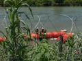 El «muro flotante» hecho de boyas con púa, en Texas