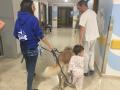 La empresa Perruneando imparte la terapia canina en el hospital