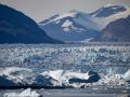 Icebergs liberados por uno de los glaciares más grandes de Groenlandia