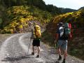Caminar con peso