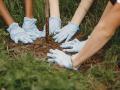 Tres voluntarios plantan un árbol