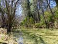 Orilla del río Guadalquivir